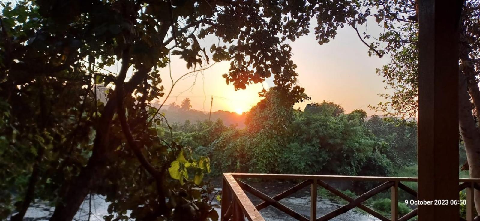 Asiatic Lion Lodge Sasan Gir Exterior foto